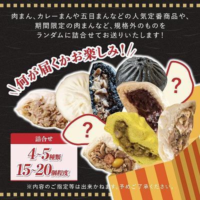 ふるさと納税 大崎町 【神楽坂五〇番】おかめ肉まんバラエティセット　計15個〜20個程度  (4〜5種類) |  | 03