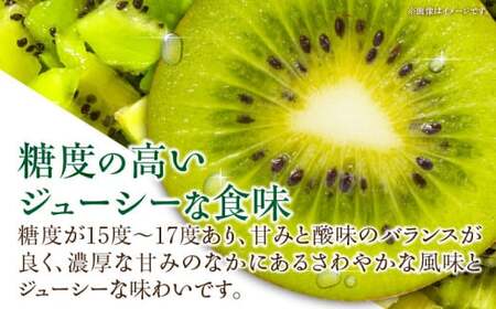 香川県オリジナルキウイフルーツ「香緑」約3kg【香川県共通返礼品】_mk059-025