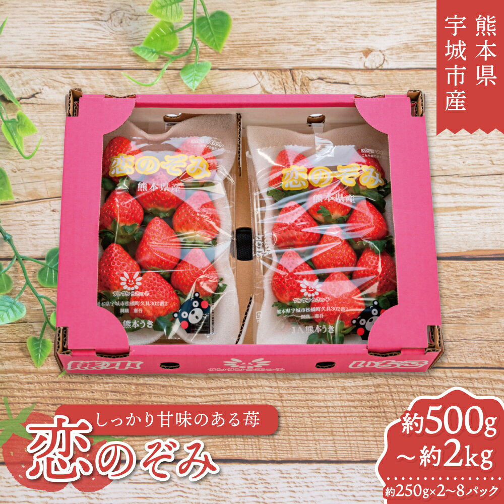 【ふるさと納税】 先行予約 いちご 恋のぞみ 【選べる容量】計約500g 計約1kg 計約1.5kg 計約2kg 1パックあたり約250g (7〜11個) 【2026年2月上旬～3月上旬発送予定】 苺 冷蔵 小分け 九州 熊本県 宇城市産 JA熊本うき