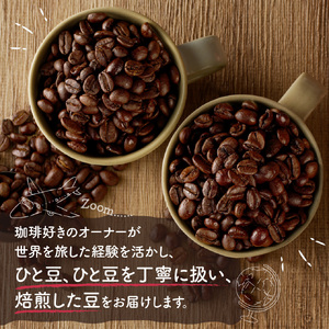 自家焙煎　東風コーヒー豆100g×3点セット