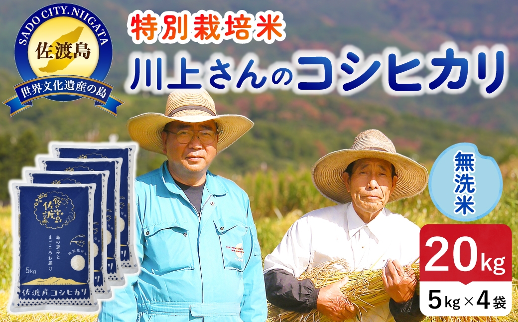 
                  令和8年産 佐渡島産川上さんのコシヒカリ 無洗米20kg 特別栽培米 | 新潟県産コシヒカリ 新潟産コシヒカリ 佐渡産コシヒカリ コシヒカリ 特別栽培米 お米 米 無洗米 むせんまい おこめ コメ 20キロ にいがた さど 新潟県 佐渡市 195962-112602
                