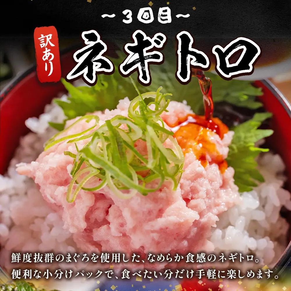 【定期便/計9回】海鮮【惣菜海鮮】 Wda-0053