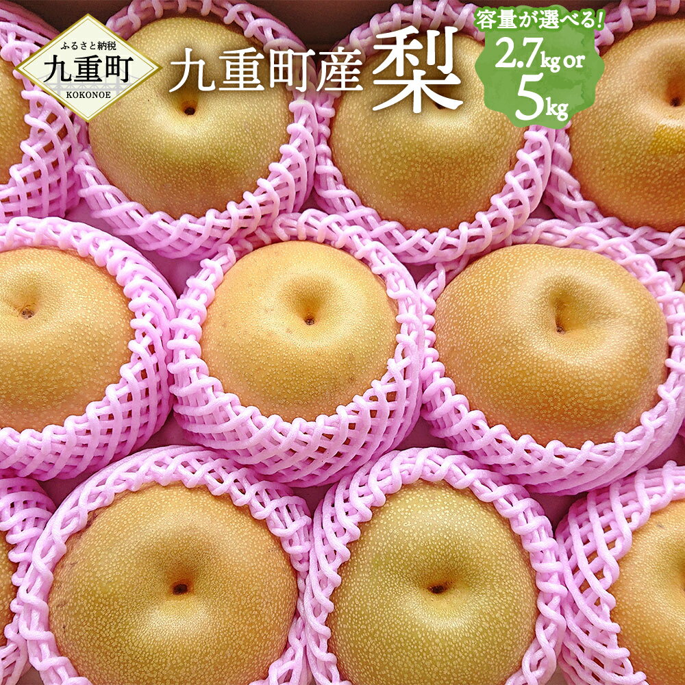 【ふるさと納税】九重町産梨 〈容量が選べる〉約2.7kg または 約5kg 梨 豊水 新高 国産 大分県産 九重町産 フルーツ 果物 くだもの 果実 冷蔵 送料無料 【2025年9月上旬～10月上旬発送予定】