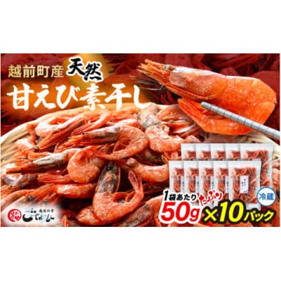 【のし付】産地直送!越前町産 天然 甘えび素干し 計500g(50g × 10パック)【配送不可地域：離島】【1633828】