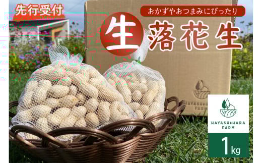 【2026年出荷分】北海道十勝芽室町 生落花生 茹で用 郷の香 1kg me028-003c-26