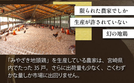 U-A2 ＜認定農家直送＞のびのびと育てたみやざき地頭鶏の炭火焼き(計500g・100g×5P)お酒のつまみやサラダと【権代ファーム】