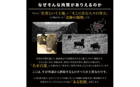 佐賀牛 切り落とし 1kg（ 500g × 2パック） J880