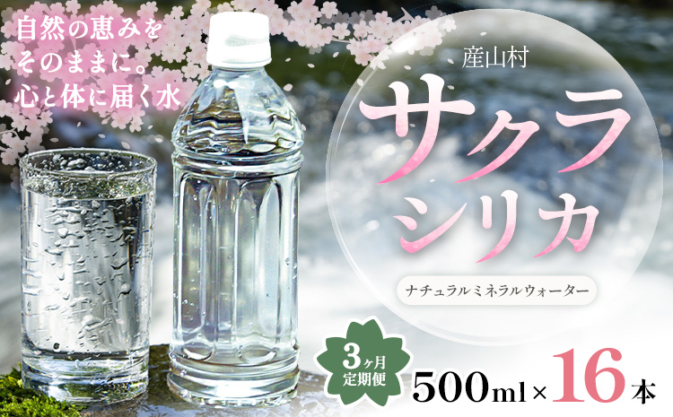 【3ヶ月定期便】サクラシリカ 500ml 16本 定期便 みずの里《お申込み翌月から出荷》熊本県 阿蘇郡 産山村 ミネラルウォーター シリカ 水 天然水 鉱水 ラベルレス ラベルなし---ubuyam