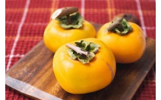 
            吊るし柿用たね無渋柿T軸又はクリップ付紐付約4.5～5kg　約24～30個＜2026年10月中旬～11月上旬ごろ順次発送＞【ART13】
          