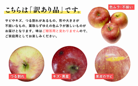 《12月発送》 訳あり 家庭用 葉取らずサンふじ 約10kg (28～46玉程度)【りんご 森山商店 平川市産 青森りんご 年内発送 12月 林檎 リンゴ サンふじ ふじ 葉とらず 平川市 青森県】