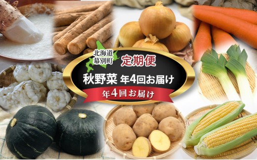 
                  十勝幕別の定期便 秋野菜 年4回お届け 【お届け開始：2025年9月～】[№5749-1467]
                