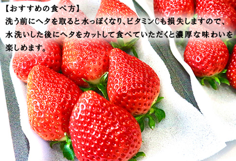 唐津産 いちごさん 250g×8パック(合計2kg) 濃厚いちご 苺 イチゴ 果物 フルーツ