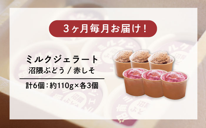 【全3回定期便】沼南ミルクジェラート 沼隈ぶどう＆赤しそ　各3個　食べ比べセット　アイス  ぶどう 赤しそ アイス アイスクリーム デザート スイーツ ご当地 広島県福山市/甚ごろう [BAEC046