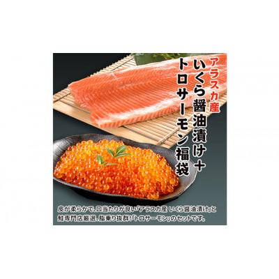 ふるさと納税 新潟市 いくら醤油漬け200g+刺身サーモン800g[54070591] |  | 01