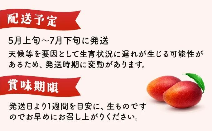 KU019＜令和8年発送分　先行予約！＞＜数量限定＞宮崎完熟マンゴー(2L×2玉) 宮崎県産の完熟マンゴー