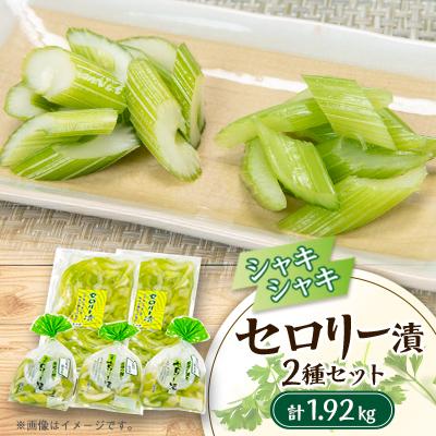 ふるさと納税 入間市 セロリー漬　計1920g