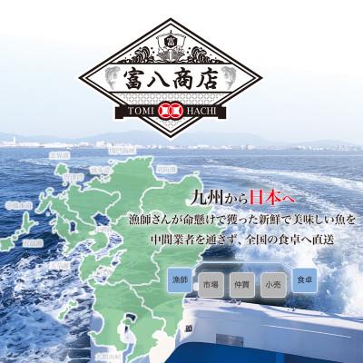 ふるさと納税 春日市 無冷凍 辛子明太子 博多よかめんたい 生 贈答用 500g 1本もの(春日市) |  | 03
