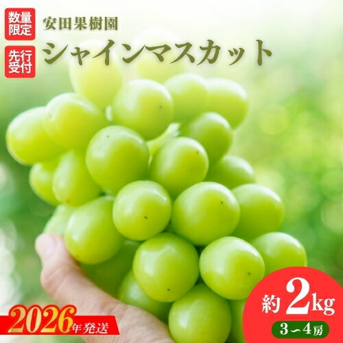 【ふるさと納税】No.2613ぶどう　シャインマスカット約2kg【2026年発送 先行予約】