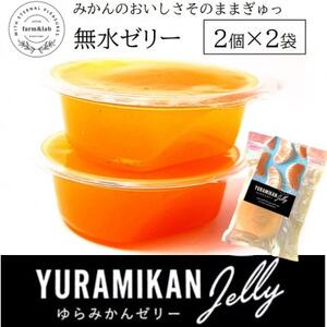 みかんの美味しさそのまま!無水みかんゼリー 2個セット×2袋(スプーン付)【1490597】