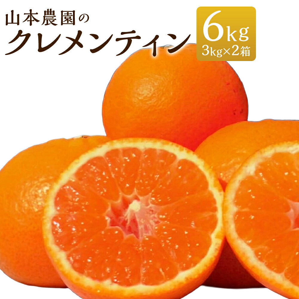 【ふるさと納税】 山本農園のクレメンティン 6kg （3kg×2箱） 【2027年1月下旬-3月上旬】クレメンティン 希少 ヨーロッパ生まれ スペイン原産 太良みかん みかん ミカン 蜜柑 フルーツ くだもの 果物 太良町 国産 甘い 美味しい 佐賀県 太良町 送料無料 NC9x2