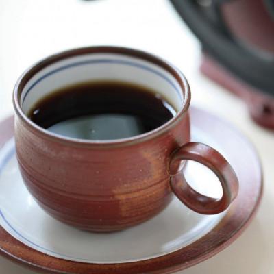 ふるさと納税 瀬戸市 ハワイ・コナ　コーヒー豆　200g×2個(豆のまま発送)