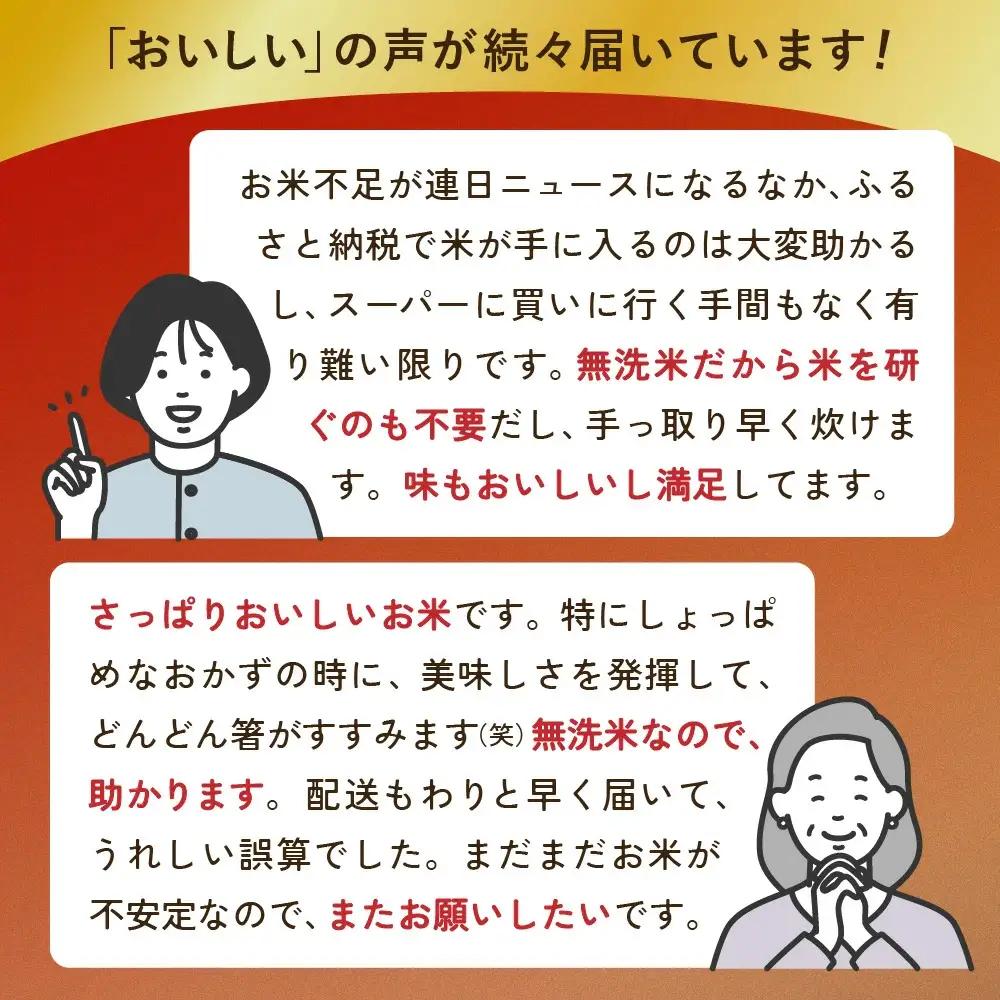 無洗米宮城県産ひとめぼれ 10kg 無洗