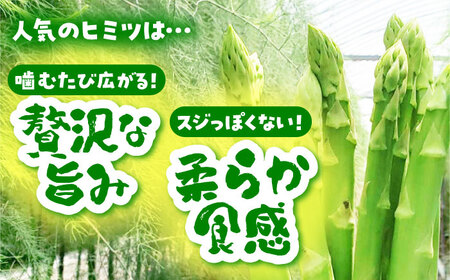 【3から8月発送】 アスパラ 700g（L〜2Lサイズ）　【えぐちファーム】[HDE001]