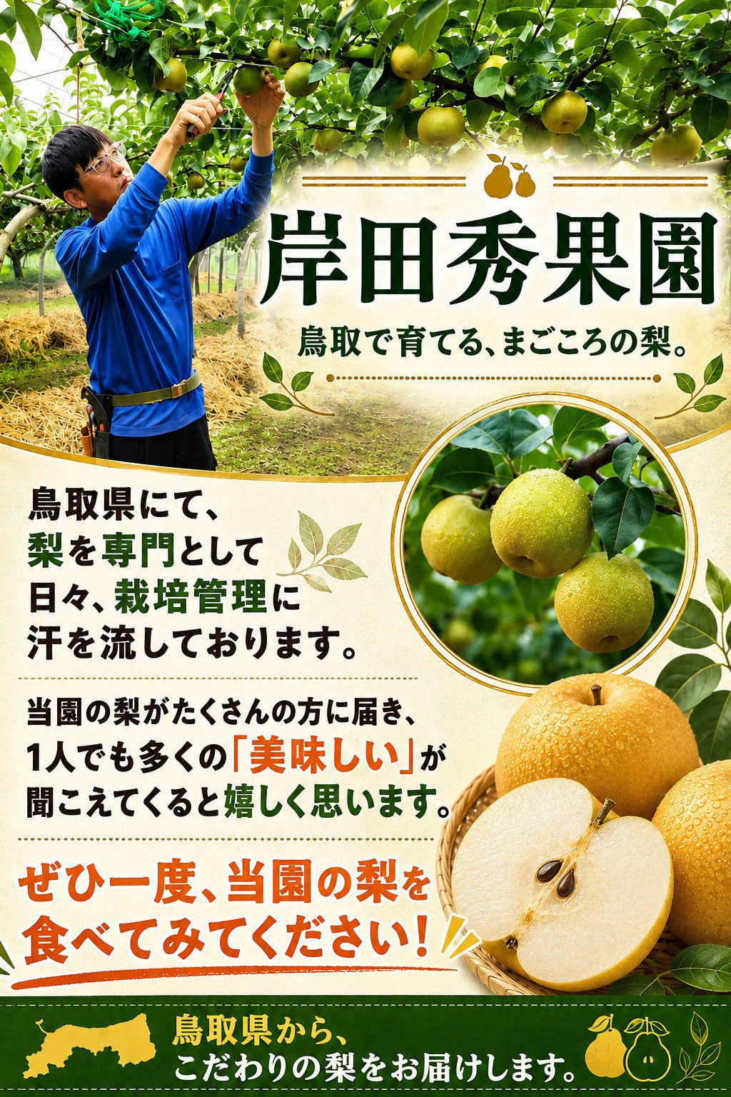 岸田秀果園 新興梨 進物用3kg 【鳥取県 境港市】