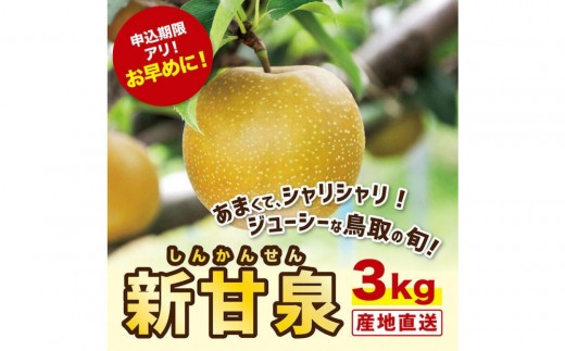 
                  新甘泉 3キロ【安田農園】
                