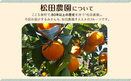 みかん ご家庭用 10kg S-2L 日付指定不可 松田農園 みかん