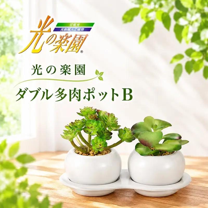 光の楽園 ダブル多肉ポットB 光触媒 フェイクグリーン フェイクフラワー 造花 フェイク 観葉植物 消臭 抗菌 防汚 ホルムアルデヒド 分解 インテリア 静岡 静岡県 浜松市 【配送不可：北海道・沖縄・離島】