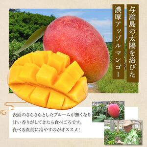 【2026年7月下旬より発送】【先行予約】平均糖度13度以上！アップルマンゴー約1kg（2~3玉）| マンゴー