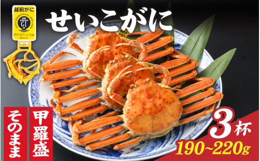 【先行予約】【11月～1月発送】選べる！美味しさ直送【成前特選】 せいこがに（190g～220g）×3杯 姿 [E-028044_06] / ズワイガニ 越前がに かに 蟹 楚蟹 セイコ蟹 越前かに 香箱がに こうばこがに 親ガニ こっぺがに せこがに 甲羅蟹 甲羅がに 香箱蟹 メス ずわいがに カニ セイコガニ