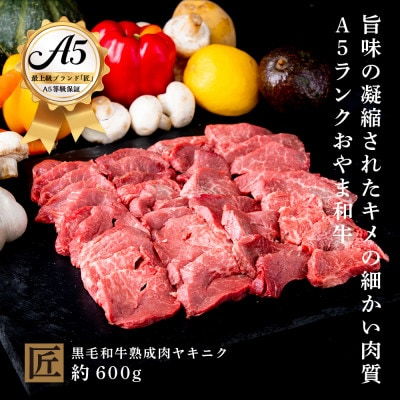 
おやま和牛 A5 極 熟成肉ヤキニク 約600g【1096945】
