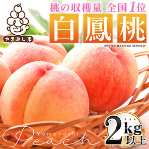2025年先行受付 山梨県産もも(白鳳系)2kg以上 5～8玉 熟練農家 厳選の旬の桃【配送不可地域：離島・沖縄県】【1277675】