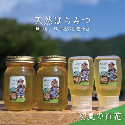 ふるさと納税 美濃市 合計1800g 深田養蜂の天然蜂蜜 国産蜂蜜 非加熱 生蜂蜜 岐阜県 美濃市産 初夏 B16