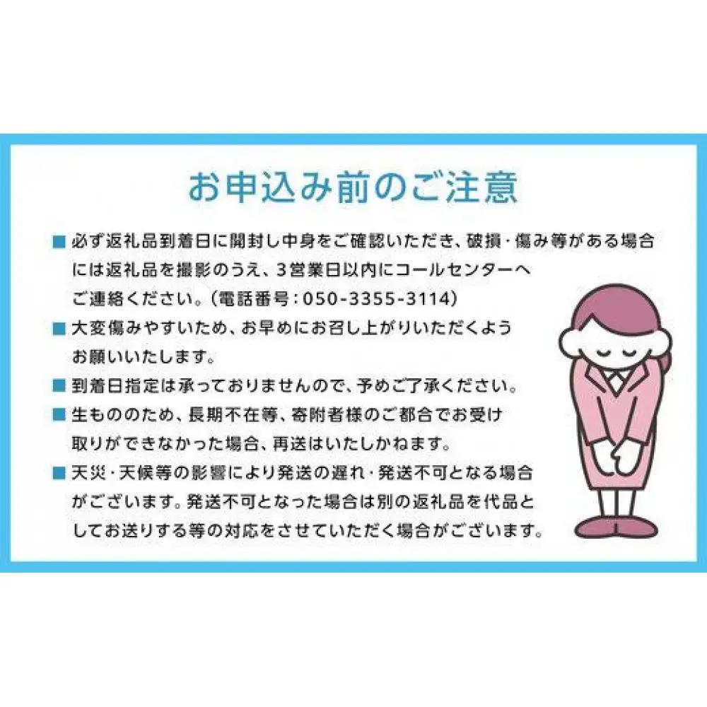 ぶどう2026年マイハート 宝石箱18粒  大粒厳選秀品 ギフト 贈答用 贈り物 農林大臣賞2回受賞 採りたて発送 農家直送 数量限定 新鮮    岡山 果物 フルーツ 化粧箱 贈答用レッド