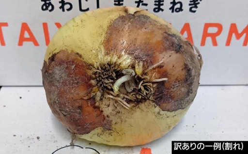 【完熟玉ねぎ予約】訳あり品　淡路島産完熟玉ねぎ 20kg　◆配送６月～翌年１月