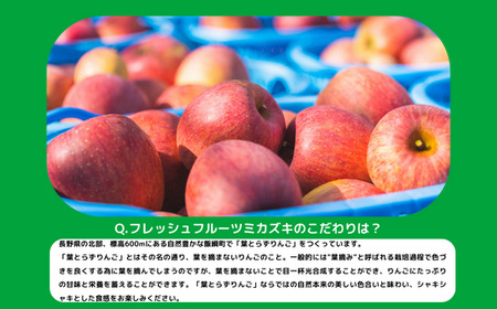 【 フレッシュ便 / 採れたて発送 】 りんご 葉とらず サンふじ 家庭用 〜 訳あり 3kg フレッシュフルーツミカズキ 沖縄県への配送不可 2025年11月中旬頃から2025年11月下旬頃まで順次