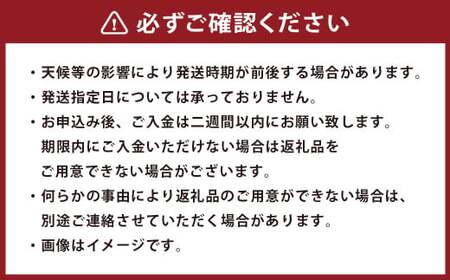 ＜ R8年熊本地震復興支援 ＞熊本県産 小玉スイカ & 肥後グリーンメロン 食べ比べ （計2玉計約3.5kg） 【2027年5月上旬迄発送予定】 小玉すいか 小玉西瓜 スイカ すいか 西瓜 メロン め