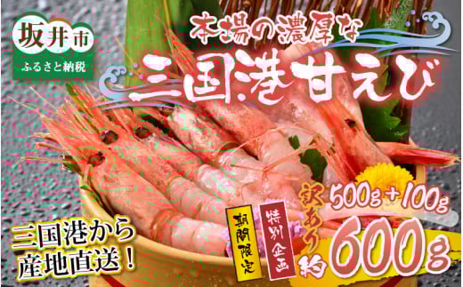 【特別企画】【訳あり】三国港から産地直送！「三国港甘えび」 500g + 100g 合計約600g ～本場の濃厚な甘海老を是非ご賞味ください！～ 【甘エビ あまえび アマエビ わけあり ワケアリ 濃厚 甘い 刺身 生食可 生 冷凍 有頭 新鮮 魚介類 国産 県産】 [A-6233]