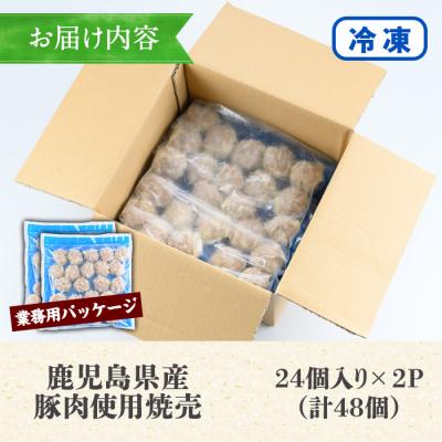 ふるさと納税 いちき串木野市 【訳あり】鹿児島県産豚肉使用 焼売48個セット(45g×48個 合計2kg超え!) |  | 03