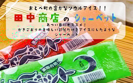 ＜田中商店 フルーツシャーベット詰め合わせ(イチゴ味10本 メロン味10本)＞昔なつかしの味！