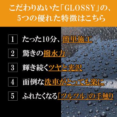ふるさと納税 唐津市 ガラス系カーコーティング剤 自動車用  KIRAPI-CAR GLOSSY 50ml×2 |  | 01