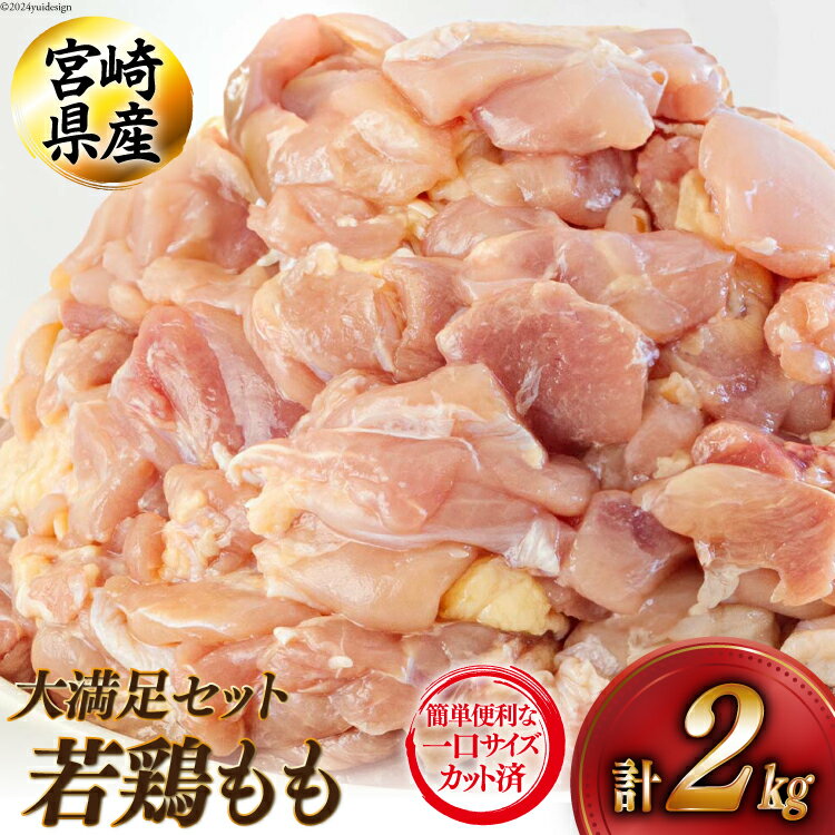 【ふるさと納税】若鶏 もも 切り身 200g×10 合計2kg [アグリ産業匠泰 宮崎県 美郷町 31be0022-NEW] 小分け セット 鶏肉 切身 カット済み 一口サイズ 冷凍 送料無料 炒め物 煮込み 揚げ 調理 料理 大容量 真空 収納スペース ジューシー 唐揚げ からあげ チキン南蛮 照り焼き