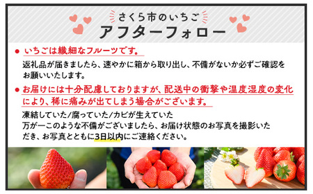 新旧2種食べ比べセット（とちおとめ、とちあいか）290g×4パック 1.16kg以上｜先行予約 数量限定 栃木県 果物 くだもの フルーツ 苺 イチゴ ※2025年1月上旬～4月中旬頃に順次発送予定