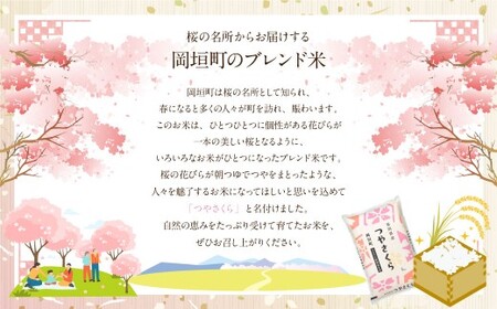 【3ヶ月定期便】福岡県産つやさくら 20kg 岡垣町 ふるさと納税返礼品 お米 こめ 精米 ご飯 ごはん 国産 定期便