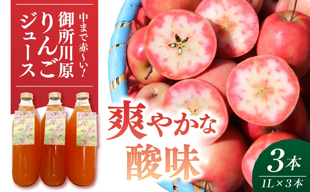 
                  御所川原 りんごジュース (1Ｌ×3本) / ストレート果汁100% 果肉まで赤～いりんご「御所川原」使用 【 ごしょがわら リンゴジュース 果汁ジュース フルーツジュース 林檎 飲料 青森県 五所川原市 】
                