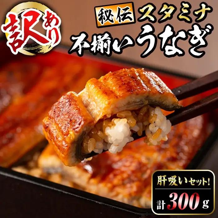 【訳あり】鹿児島県産！秘伝のスタミナうなぎ蒲焼き＜計300g以上/2尾以上＞肝吸いセット！ にんにく黒酢パワーで丸々太った美味しい鰻！ うなぎ ウナギ 鰻 蒲焼き スタミナ 黒酢 ニンニク 不揃い 鹿児島 肝吸い a5-350