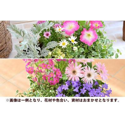 ふるさと納税 徳島市 【定期便 全3回】季節のお花　おまかせ寄せ植え【FP007】 |  | 01